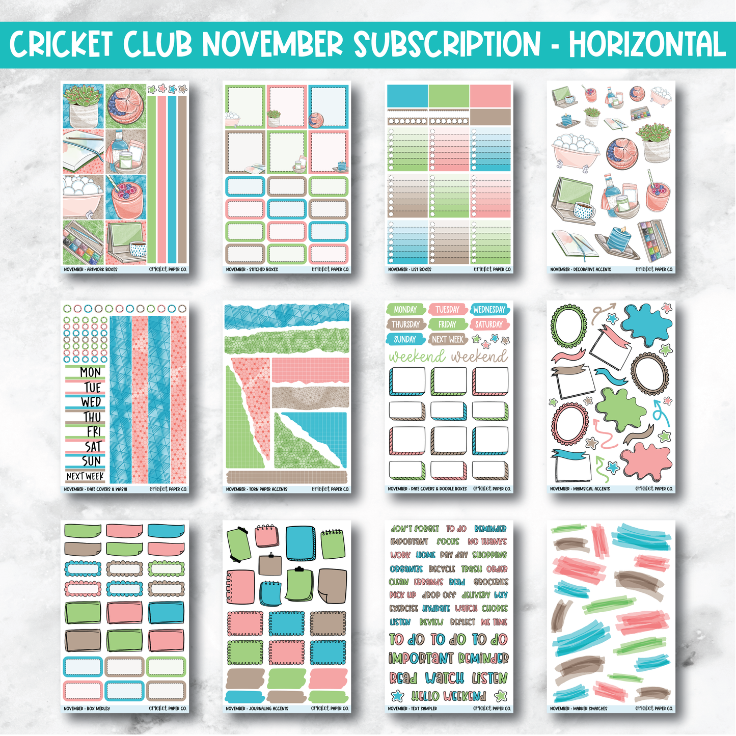 Cricket Club Subscription