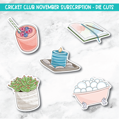 Cricket Club Subscription