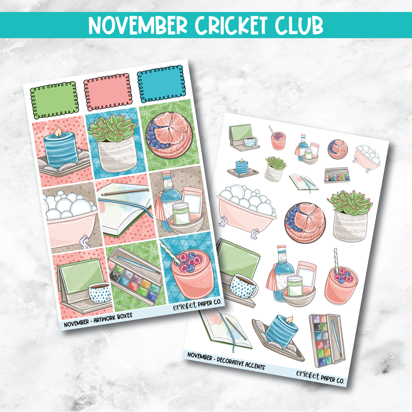 Cricket Club Subscription