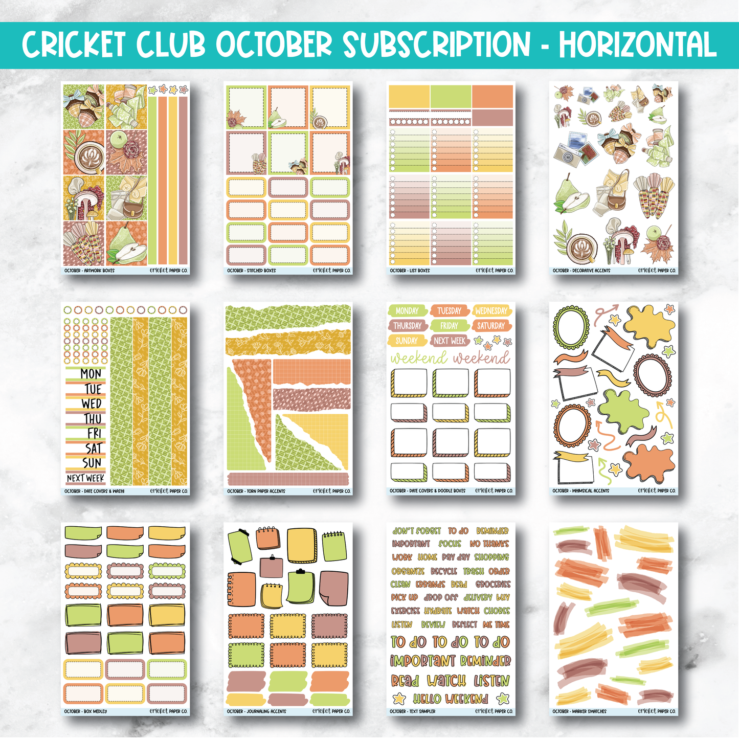 Cricket Club Subscription