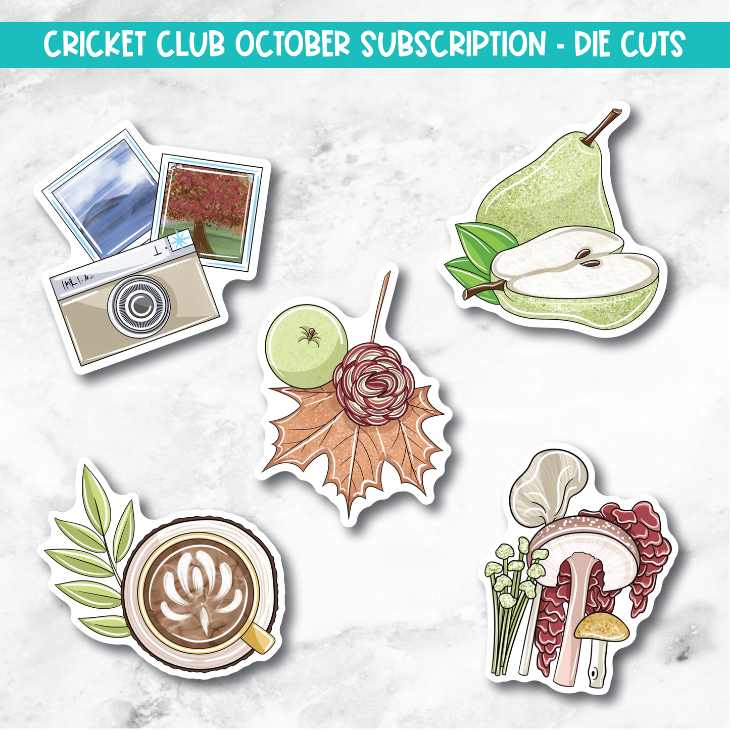 Cricket Club Subscription