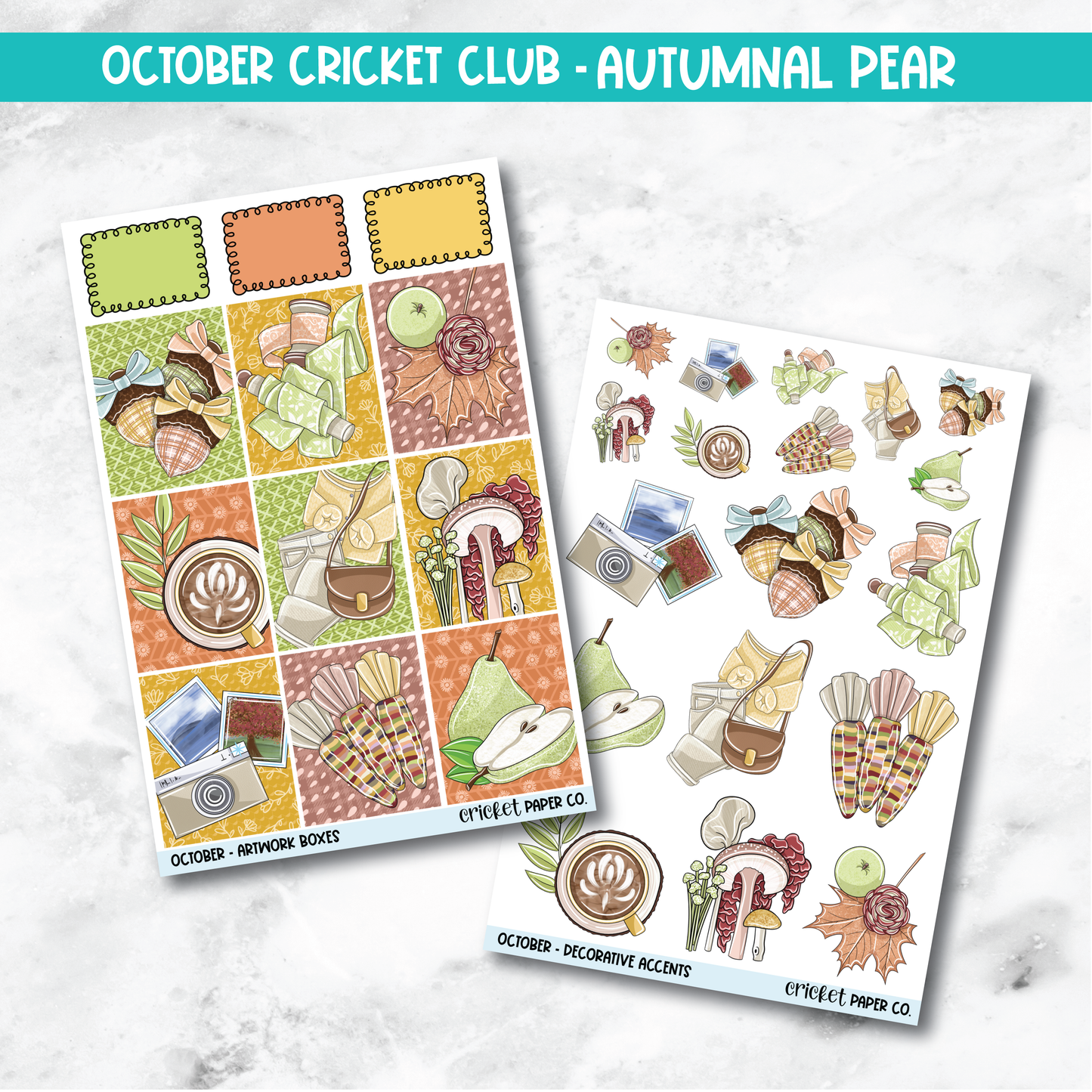 Cricket Club Subscription