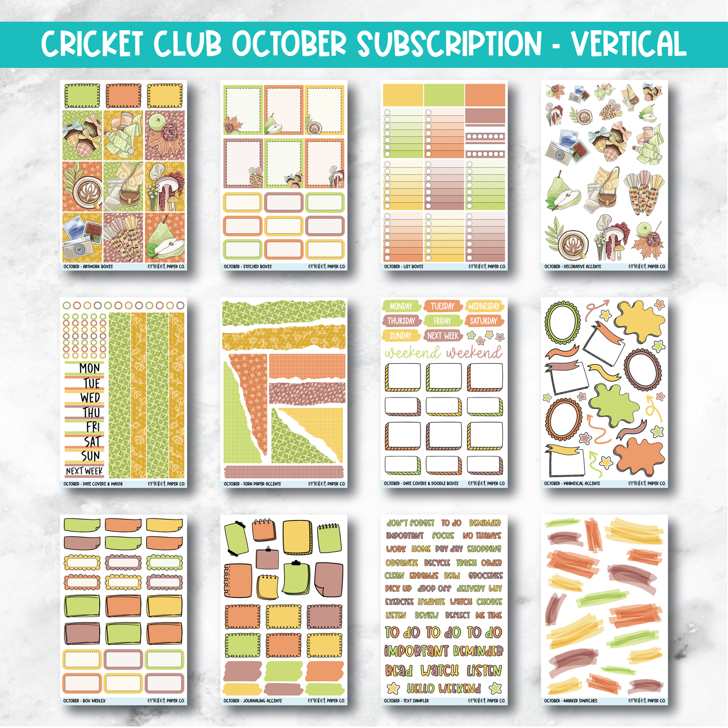 Cricket Club Subscription